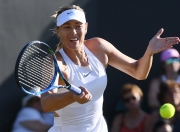 HUPU-莎拉波娃迎来十赛季高光表现，掘金球迷沸腾！的简单介绍